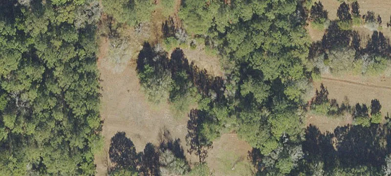 Defuniak Springs, FL 32435