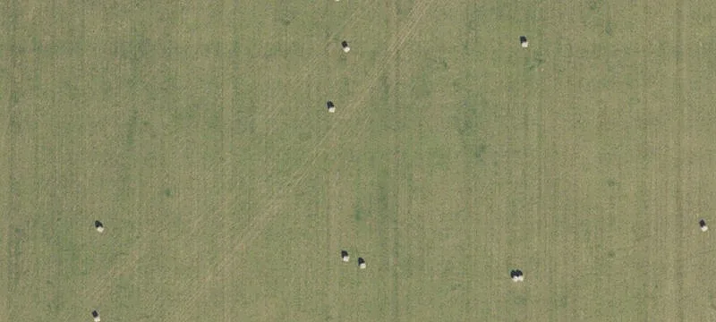 High Springs, FL 32643