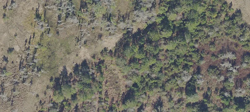 Hawthorne, FL 32640