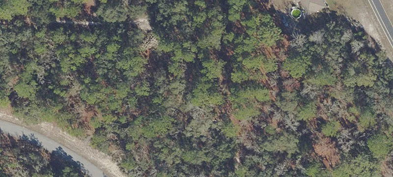 Ocala, FL 34473