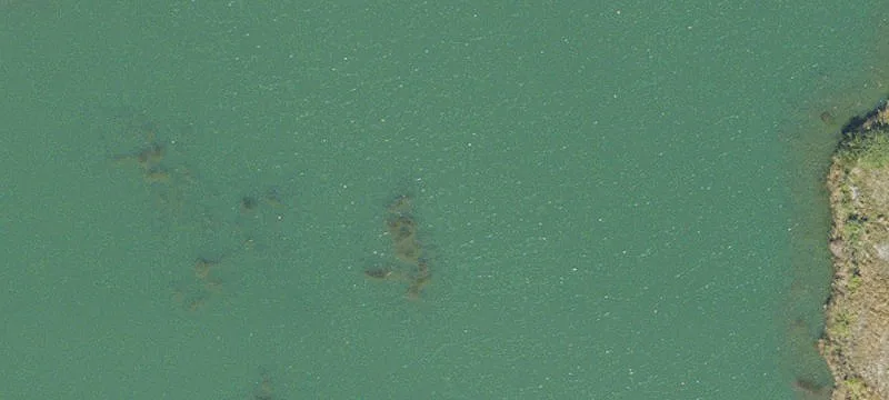 Titusville, FL 32780