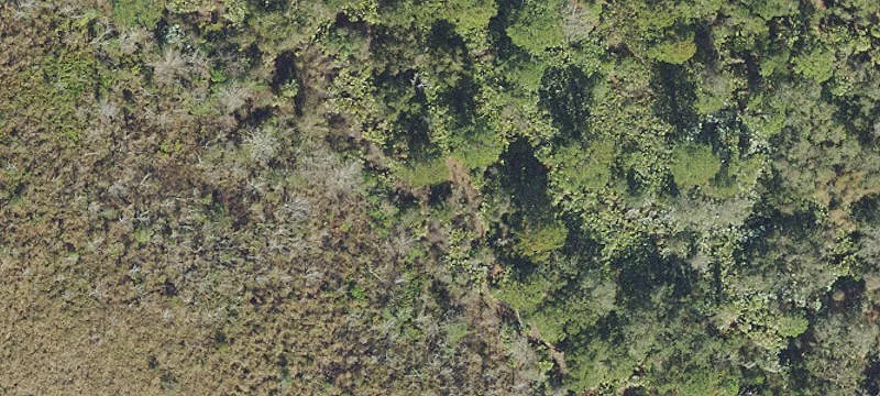 Cocoa, FL 32926