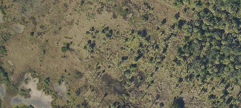 Riverview, FL 33578