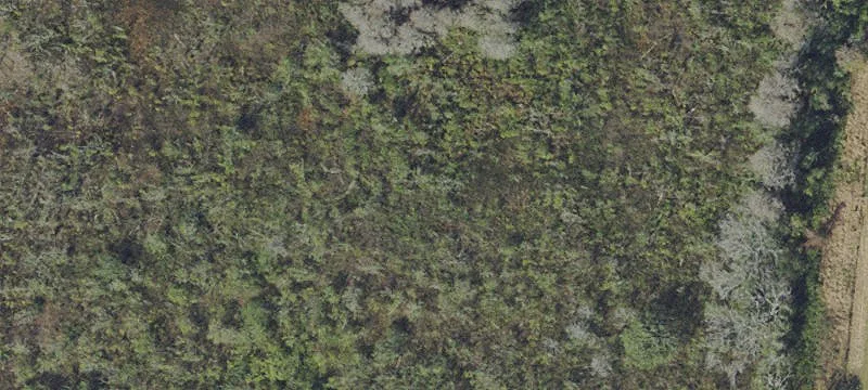 Swamp Dr