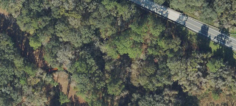 Live Oak, FL 32060