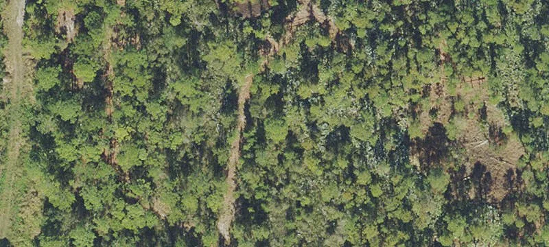 Cocoa, FL 32926
