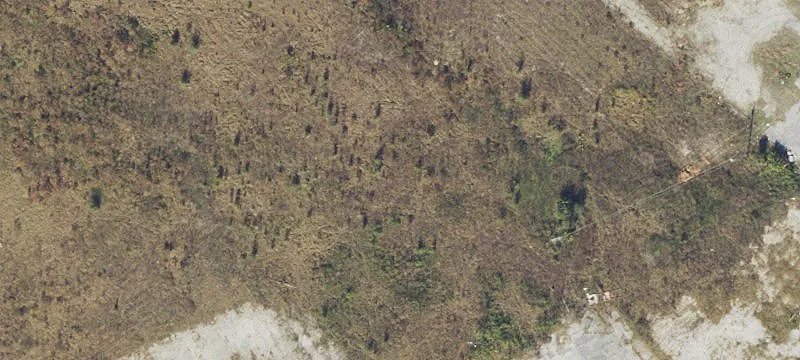 Live Oak, FL 32064