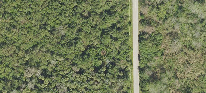 Mims, FL 32754