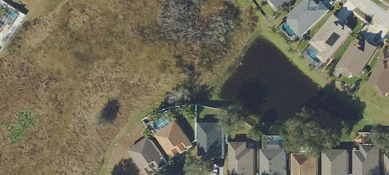Lutz, FL 33559