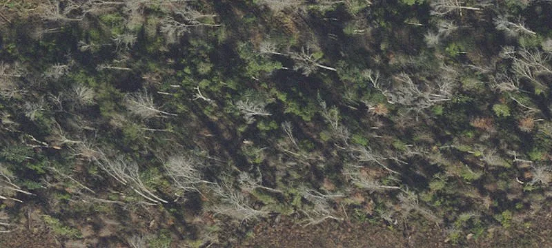 Bristol, FL 32321
