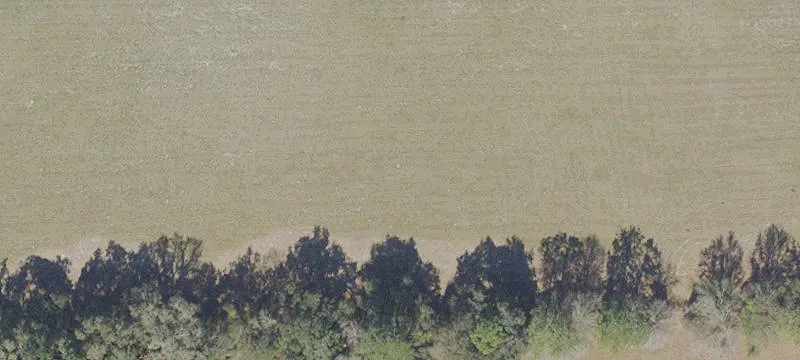 Hawthorne, FL 32640