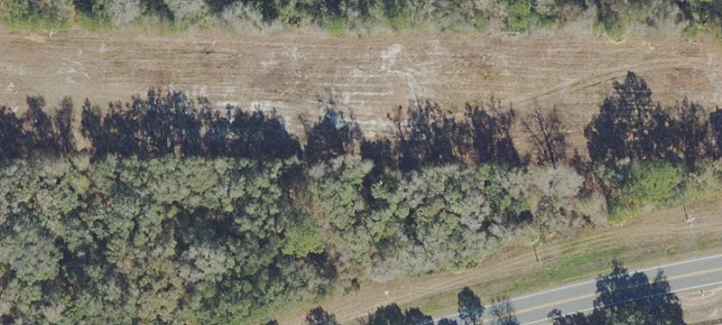 11941 Hwy 316