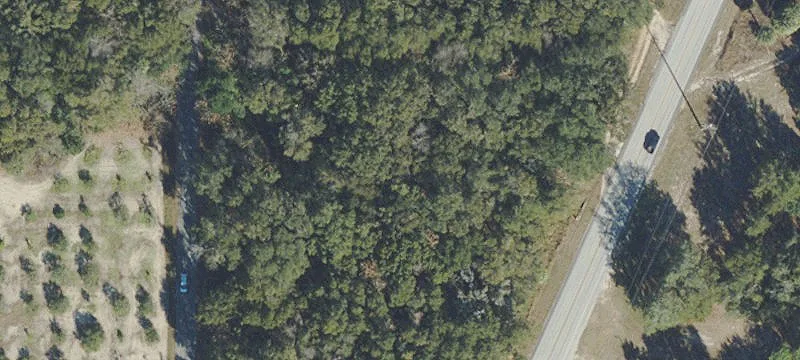 Weirsdale, FL 32195