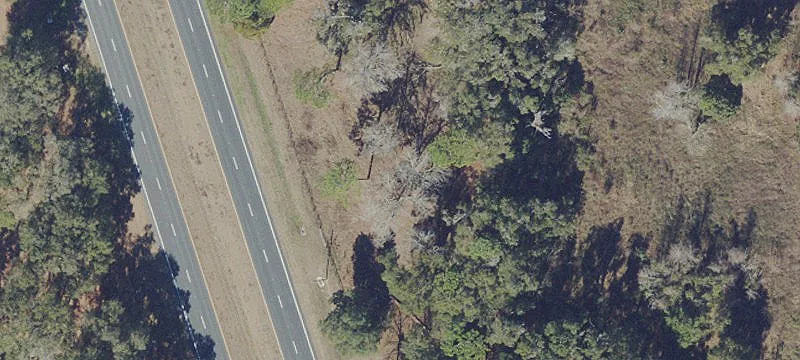 Reddick, FL 32686
