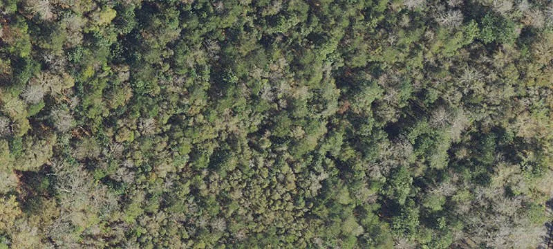 Mc David, FL 32568