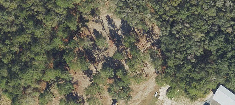 Live Oak, FL 32060