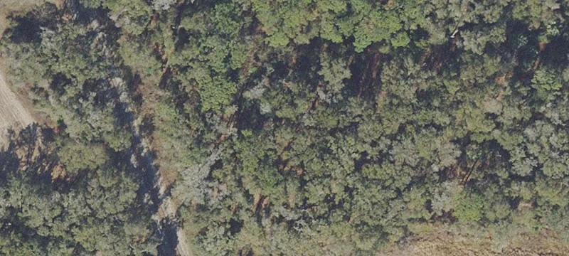 Anthony, FL 32617