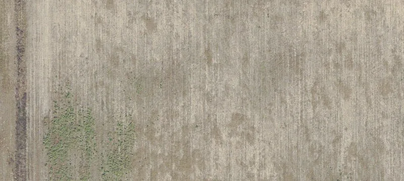 Ocala, FL 34482