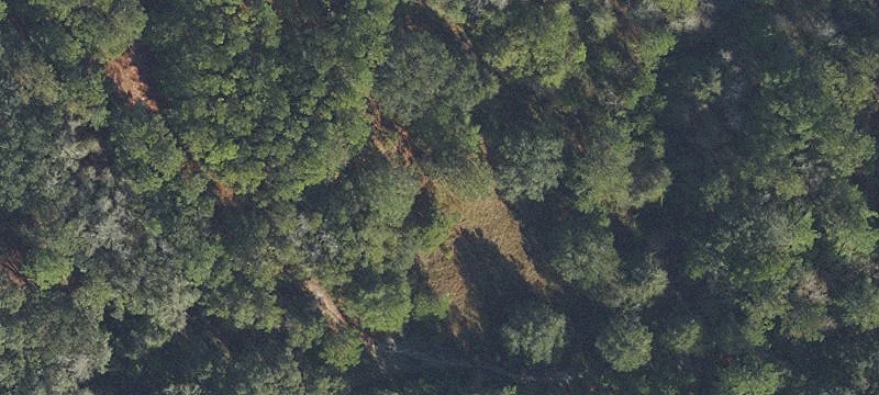 Alachua, FL 32615
