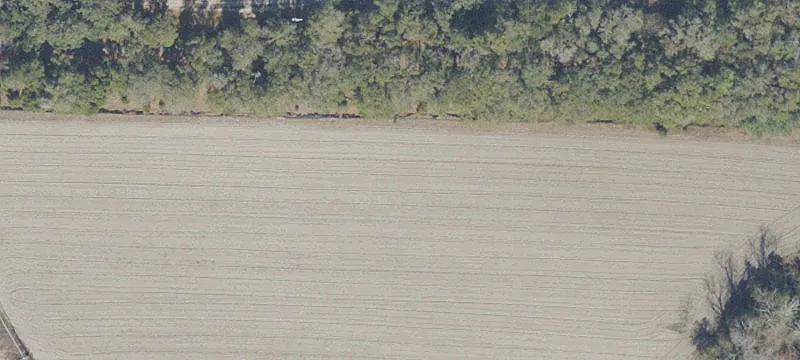 Hawthorne, FL 32640