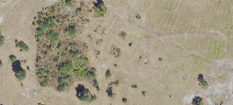 Immokalee, FL 34142