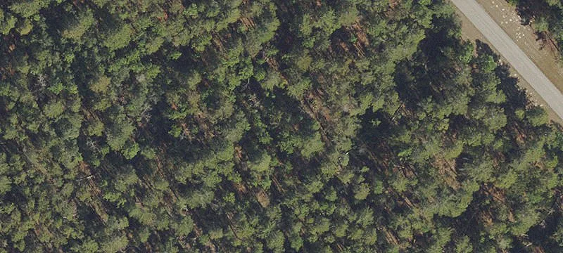 Ocala, FL 34473
