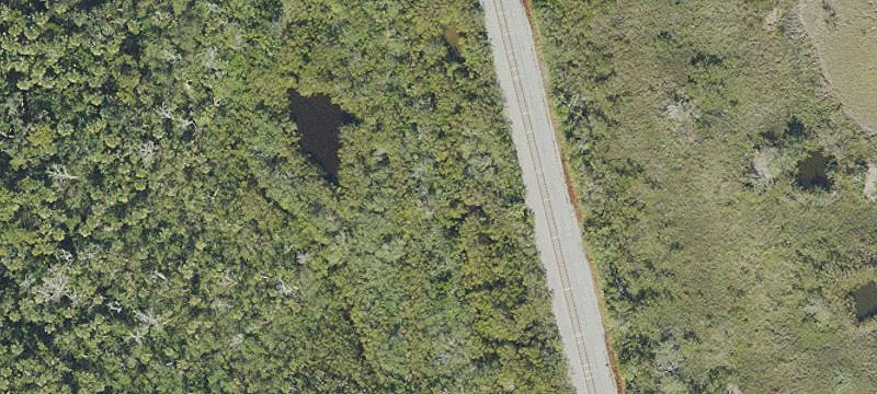 Mims, FL 32754