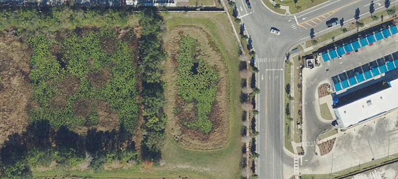 Lutz, FL 33548