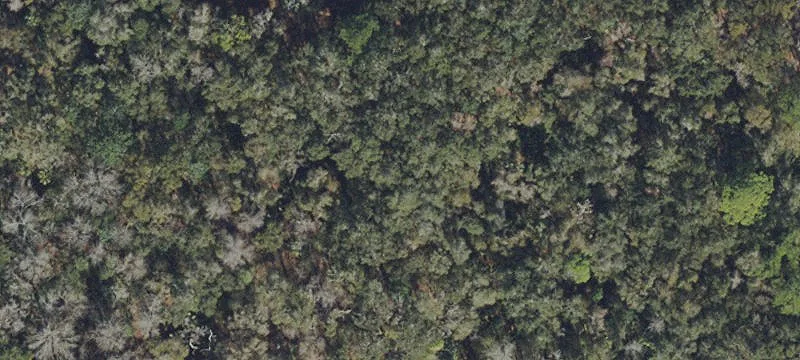 Dunnellon, FL 34432