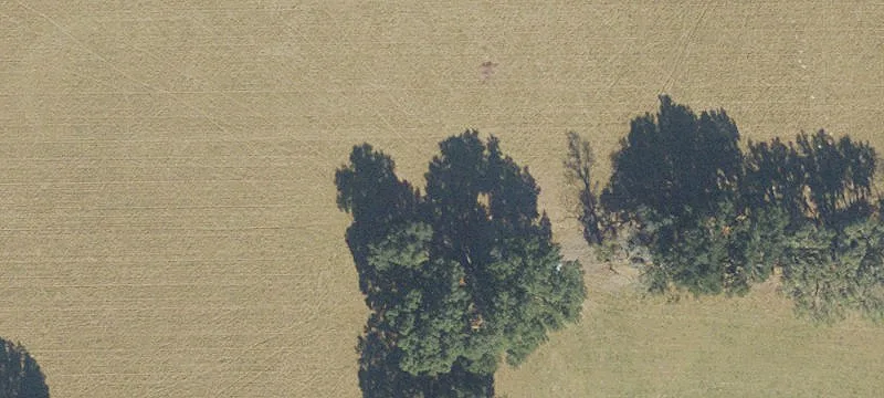 High Springs, FL 32643