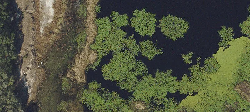 Zephyrhills, FL 33542