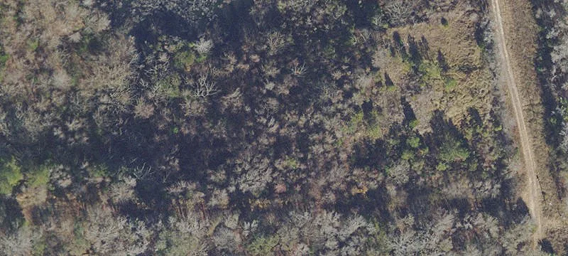 Ocala, FL 34481
