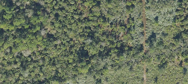 Malabar, FL 32950