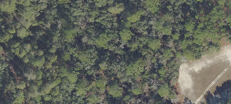 Ocala, FL 34473