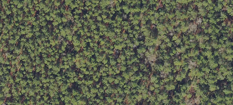 Waldo, FL 32694