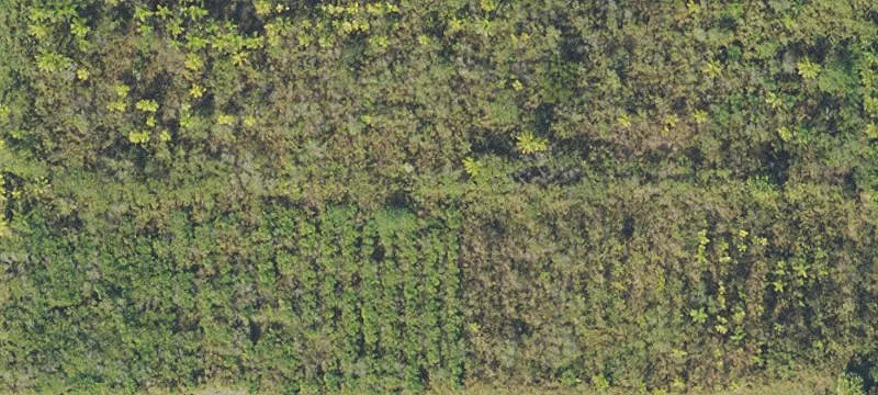 Homestead, FL 33034