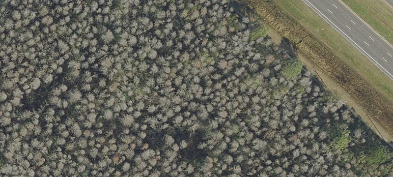 Odessa, FL 33556
