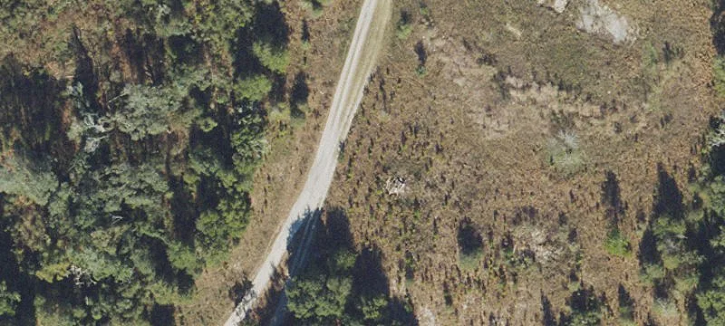 Live Oak, FL 32060