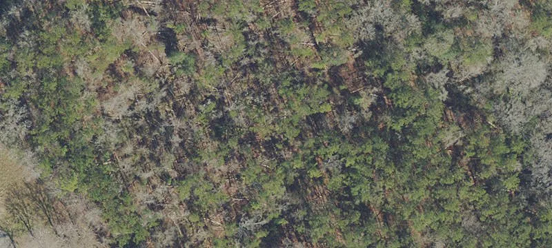 Gainesville, FL 32609