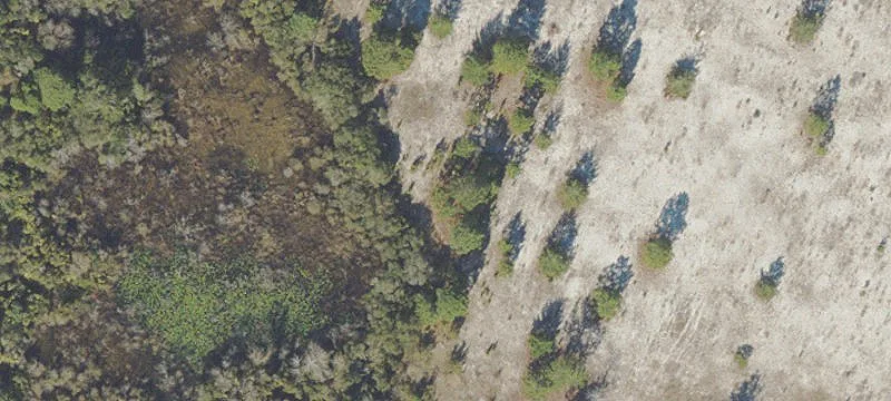 Umatilla, FL 32784