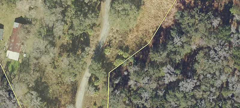 Reddick, FL 32686