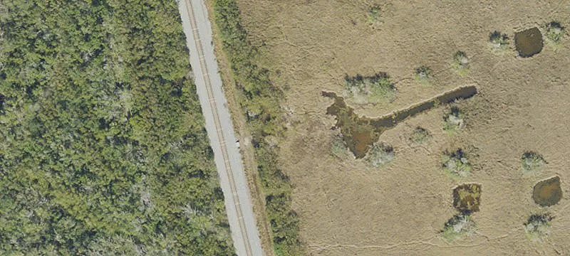 Mims, FL 32754