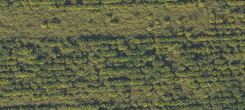 Homestead, FL 33033