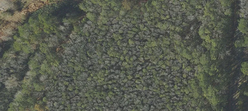 Bonifay, FL 32425