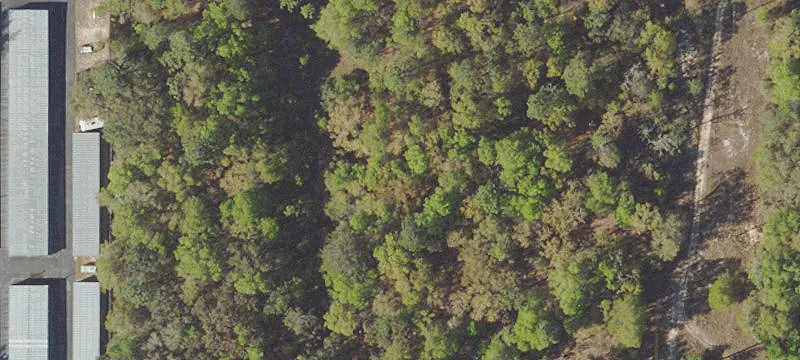 Silver Springs, FL 34488