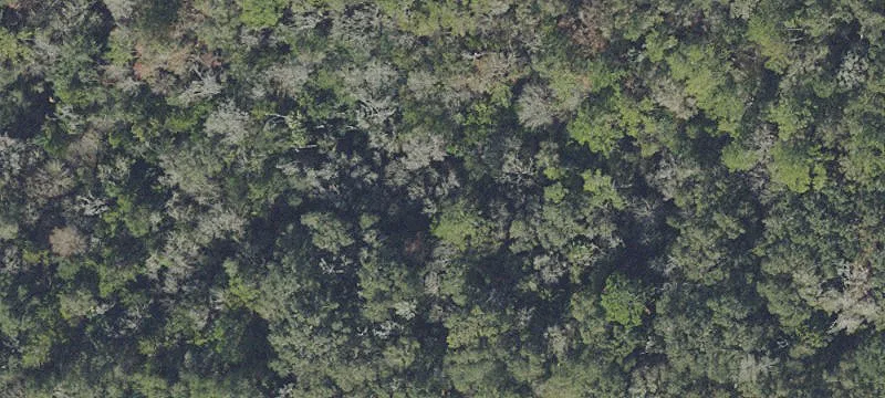 Ocala, FL 34480