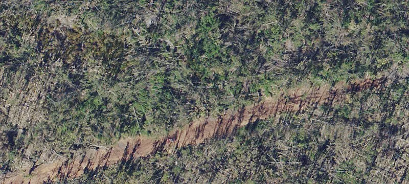 Bokeelia, FL 33922
