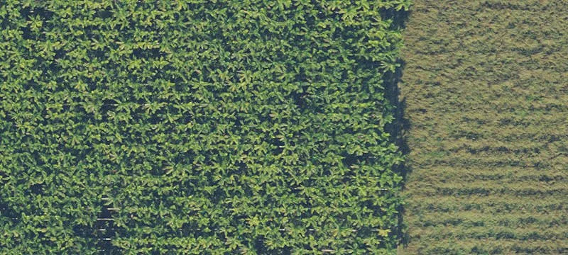 Florida City, FL 33034