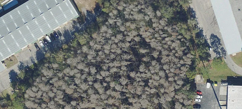 San Antonio, FL 33576