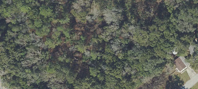 Belleview, FL 34420